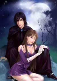 星河書丹