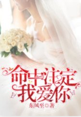 命中注定我爱你/我的唯一注定是你