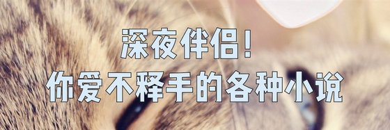 深夜伴侶！你愛不釋手的各種小說